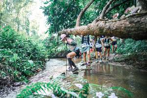 BIB: 
                            <button type="button" onclick="openModal(25461044)" class="btn btn-primary btn-sm float-right btn-popup" data-toggle="modal" data-target=".modal-high-quality">
                        <i class="fas fa-shopping-cart"></i> Add to Cart
                    </button>
                                            <button type="button" onclick="isThisMe(25461044, true)" class="btn btn-success btn-sm float-right btn-popup btn-isme hidden" data-toggle="tooltip" data-placement="bottom" title="นี่คือรูปของคุณใช่ไหม คลิกที่นี่เพื่อเอาเข้าอัลบั้ม">
                        <i class="fas fa-plus"></i> Add to album
                    </button>
                    <button type="button" onclick="isThisMe(25461044, false)" class="btn btn-warning btn-sm float-right btn-popup btn-isnotme hidden">
                        <i class="fas fa-ban"></i> Remove from album
                    </button>